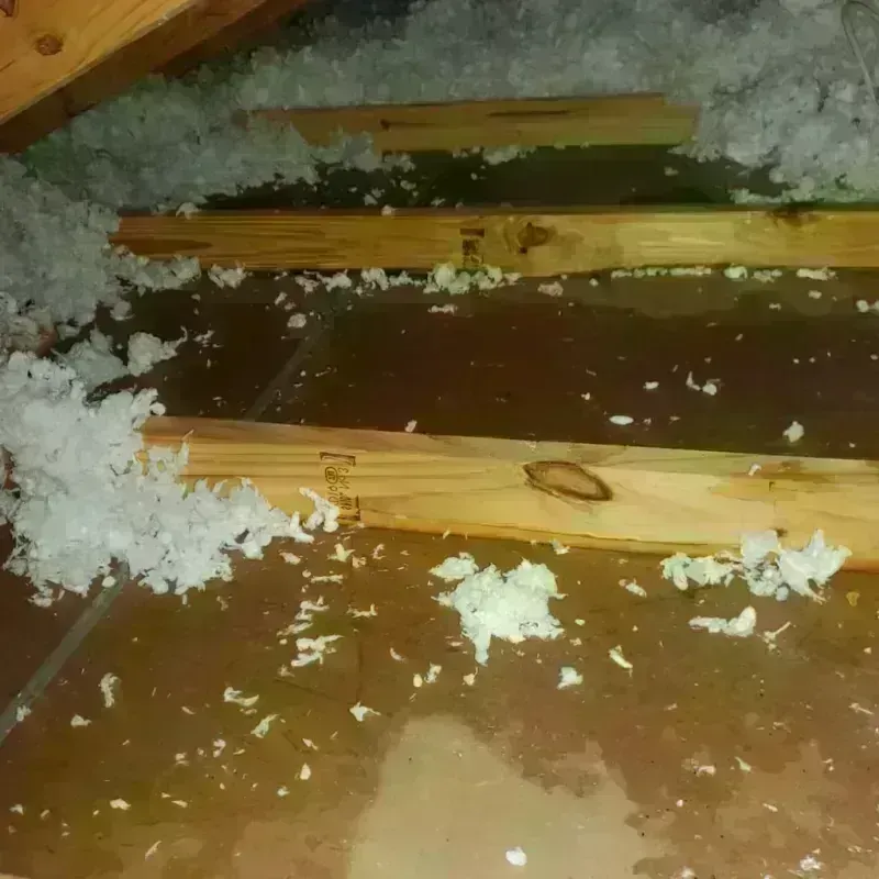 Attic Water Damage in Wayland, NY